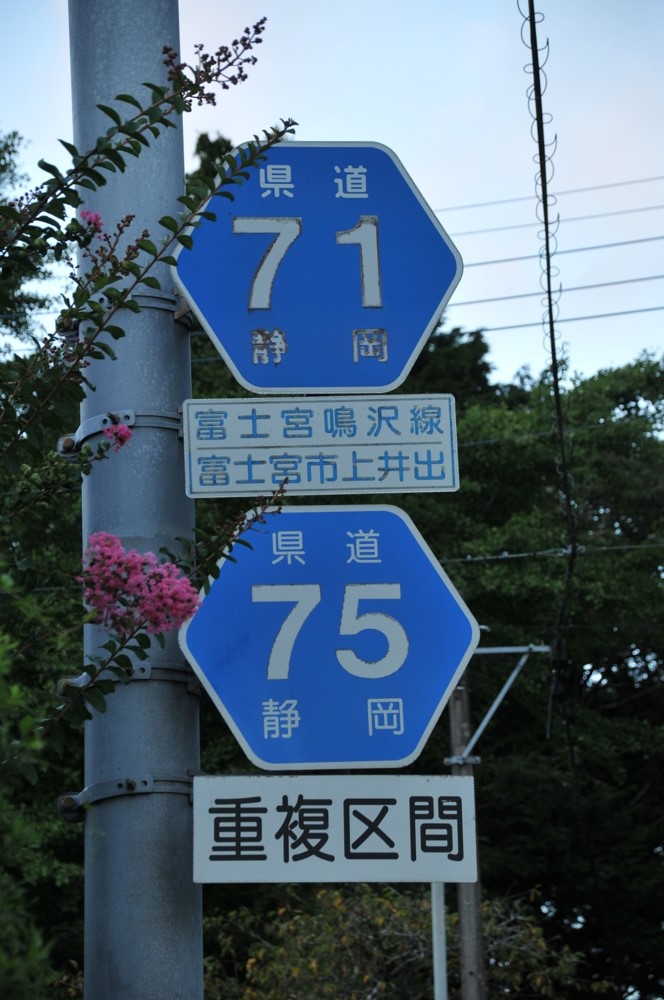 静岡県道71号　富士宮鳴沢線