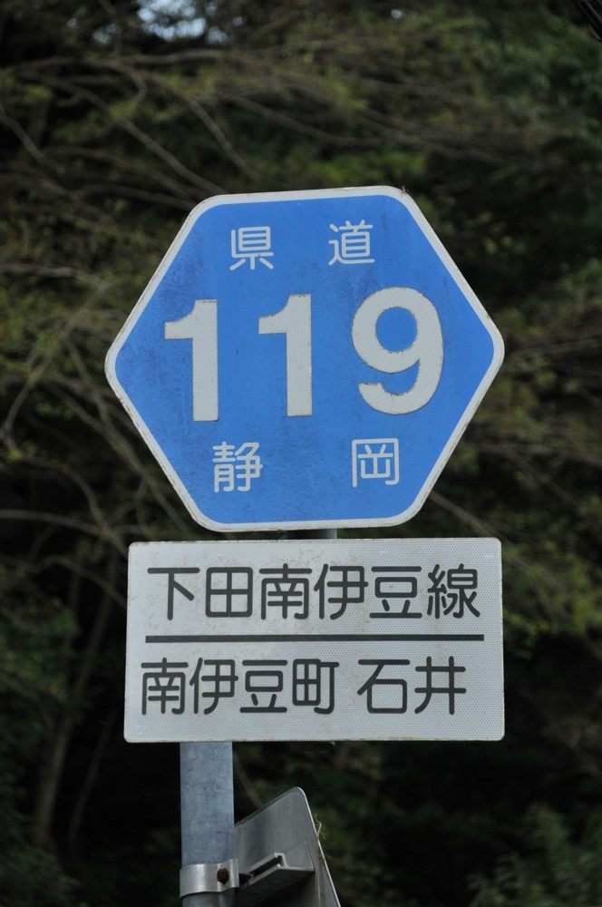 静岡県道119号　下田南伊豆線