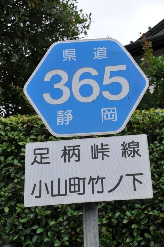 静岡県道365号　足柄峠線