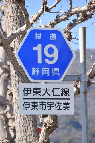 静岡県道19号　伊東大仁線　A地点（2022年2月撮影）